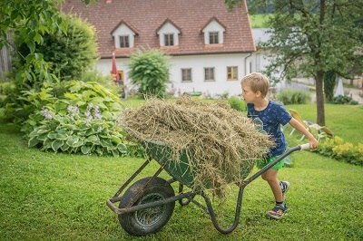 Tiere werden gefüttert, © Einkehrhof Poggau