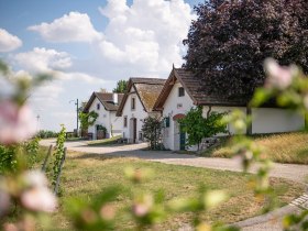 Kellergasse Höflein, © Donau Niederösterreich - Tourismusbüro Carnuntum-Marchfeld