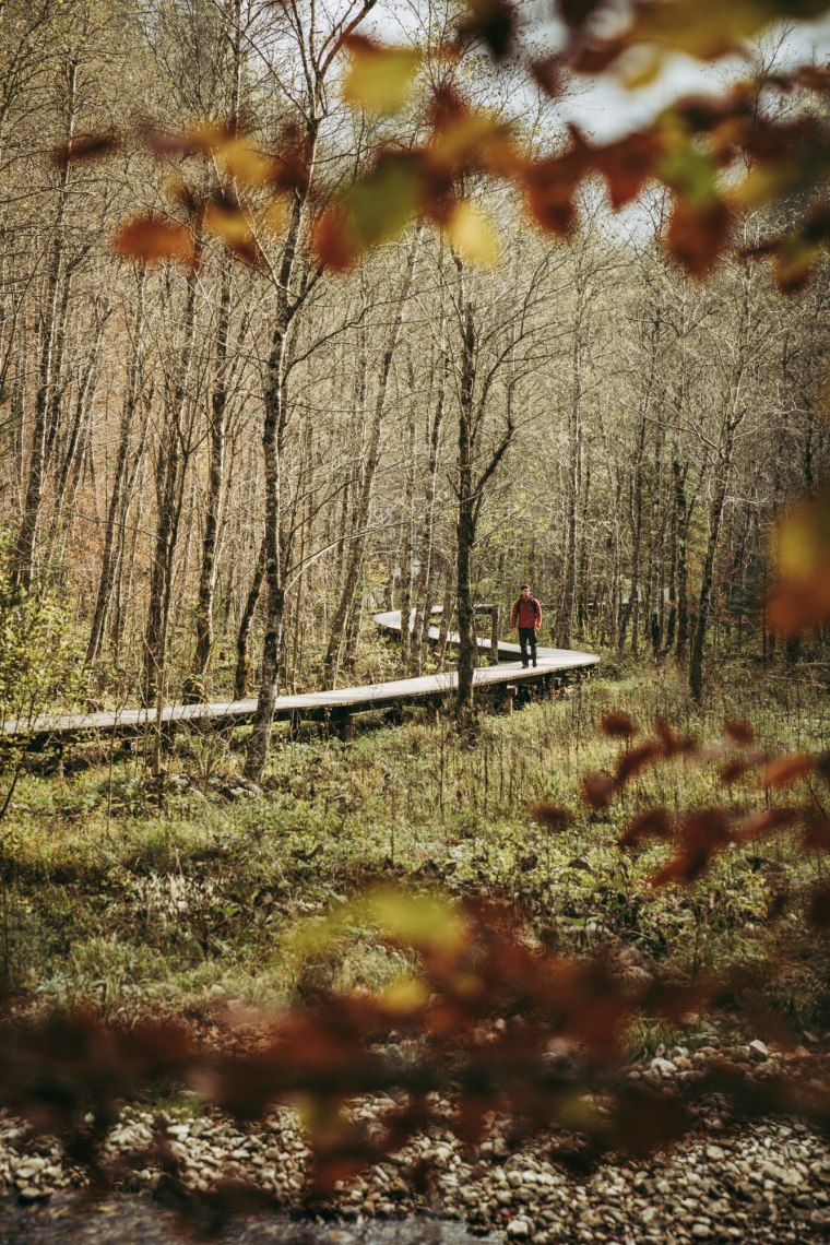 Tief durchatmen und die frische Waldluft genießen. , © Max Mauthner