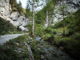 Falkenschlucht-Tour, © Marktgemeinde Türnitz