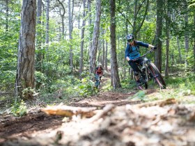 MTB Wienerwald, © Wienerwald Tourismus GmbH / Markus Frühmann