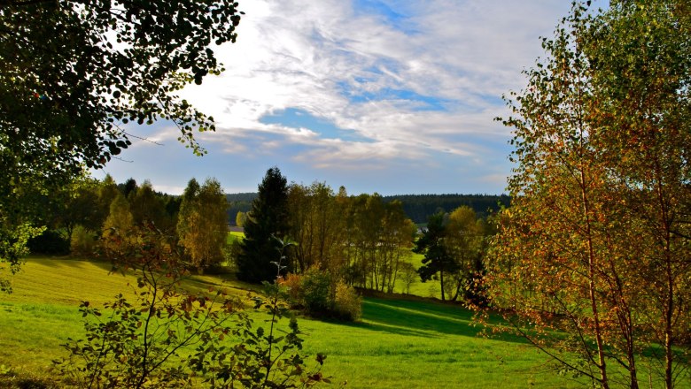 Umgebung von Hörmanns, © Litschau