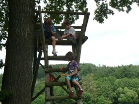 Natürlicher Spielplatz Wald, © Gemeinde Wienerwald