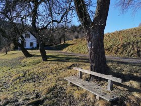 Rastplatz mit blauweißer Baummarkierung, © Wiener Alpen in Niederösterreich - Wechsel