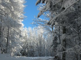 Winter Hohe Wand, © ©Naturpark Hohe Wand