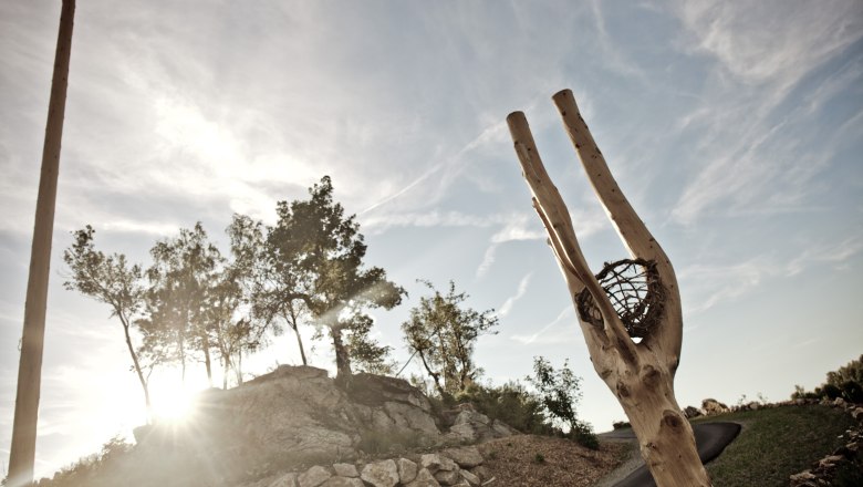 Holzskulptur barrierefreie Aussichtsplattform Braunegg, © Aigner Christoph