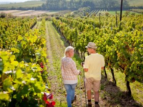 Wandern im Retzer Land, © Weinviertel Tourismus GmbH