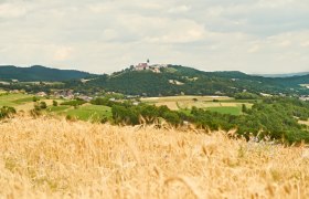 Blick Richtung Maria Taferl, © Donau Niederösterreich / Klaus Engelmayer