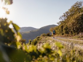 am Welterbesteig, © Wachau-Nibelungengau-Kremstal