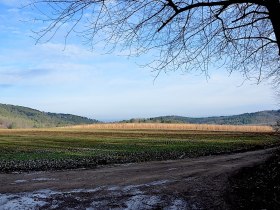 Theyernerfeld, © Walter Pernikl