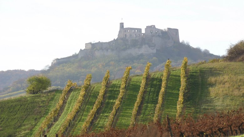 Burgruine Falkenstein, © Rudi Weiss