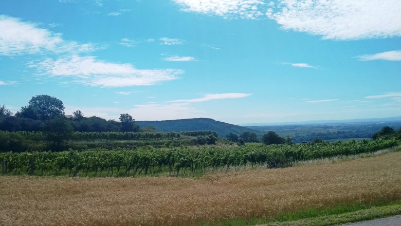 Blick auf die Fundstelle Zöbing-Kogelberg, © Franz Pieler