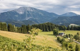 Almerlebnis am Hochbärneck, © Fred Lindmoser