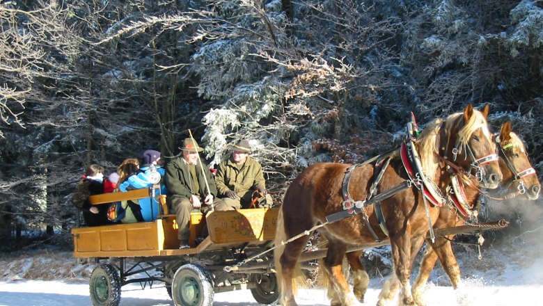 Naturpark Hohe Wand, © Naturpark Hohe Wand