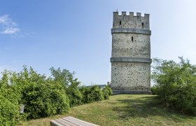 Feuerturm der Burgruine Kirchschlag, © Wiener Alpen, Franz Zwickl