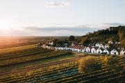 Die längste Kellergasse im Weinviertel, Maulavern., © Romeo Felsenreich