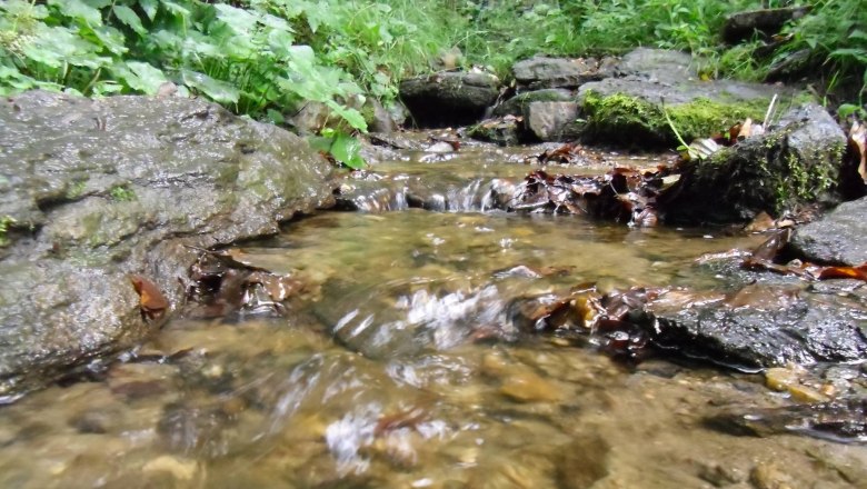 Das Quellwasser des Berges nährt alle Bäche und bietet seltenen Tierarten den idealen Lebensraum, © 1000 Krauthof