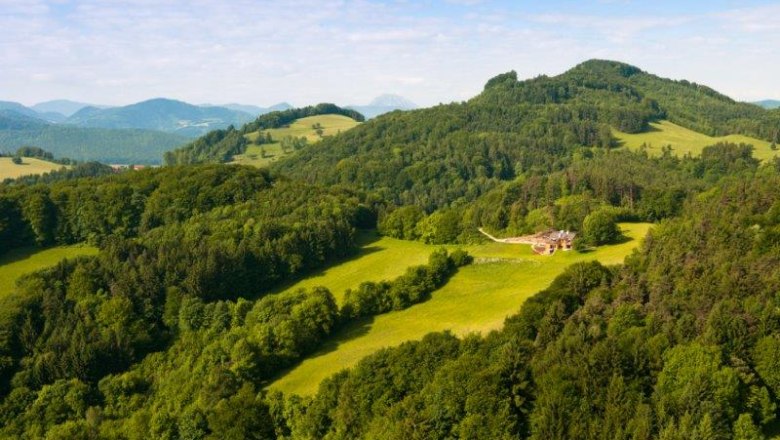 Aussicht Refugium Phönixberg, © Markus Haslinger