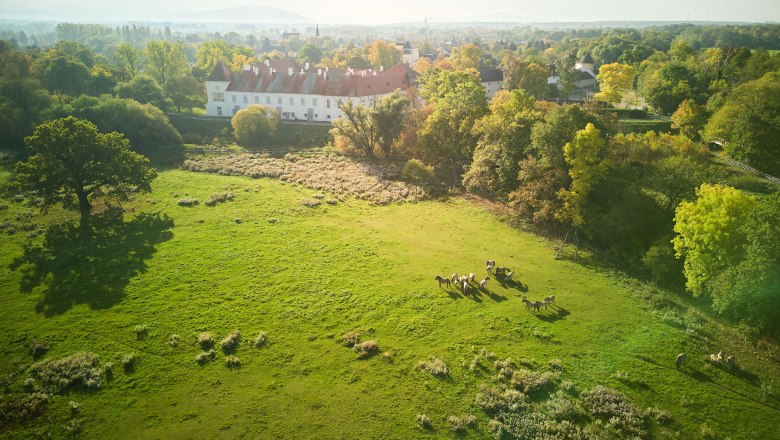 Außenaufname Schloss Marchegg mit 