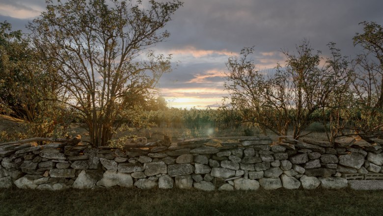 Natursteinmauer im Garten, © Weinakademie Retz