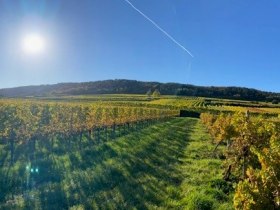 Herbstpanorama im Weinland Traisental, © Walter Pernikl