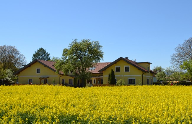 Hausansicht von vorne, © Privatzimmer Leeb