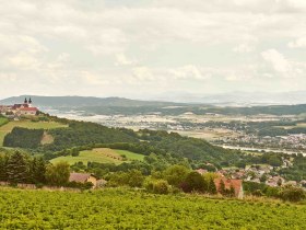 Maria Taferl im Sommer mit Panoramablick, © Donau NÖ Tourismus/Klaus Engelmayer