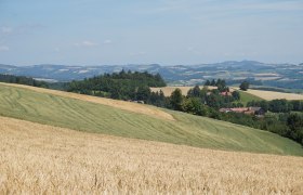 alpannonia - Regionale Route Gschaidt - Hutwisch, © Tourismusverband Südburgenland