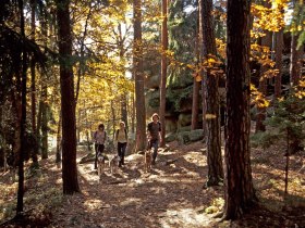 Steinwanderweg Langschlag, © Waldviertel Tourismus