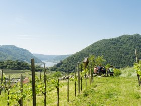 Rasten mit herrlichem Ausblick, © Martina Siebenhandl