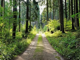 Steinpyramide-Weg, © Gottfried Braun