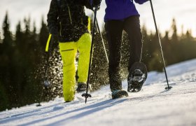 Auf Schneeschuhen durch die verschneite Landschaft, © Wiener Alpen in Niederösterreich