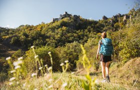 Welterbesteig Wachau -Dürnstein, © Franziska Consolati