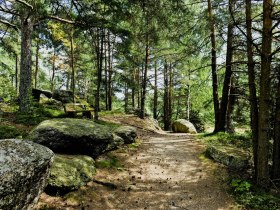 Naturpark Nordwald, © © POV