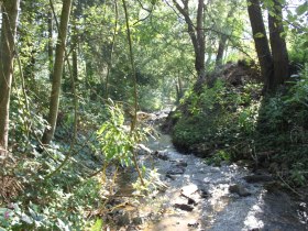 Wanderung zum Leisberg, Gföhl, © Stadtgemeinde Gföhl