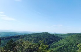 Ausblick von Burgruine, © Wienerwald Tourismus