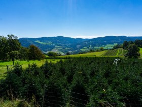 Blick auf die Hausberge von Pöggstall, Mandlgupf und Hinterberg, © Gottfried Grossinger