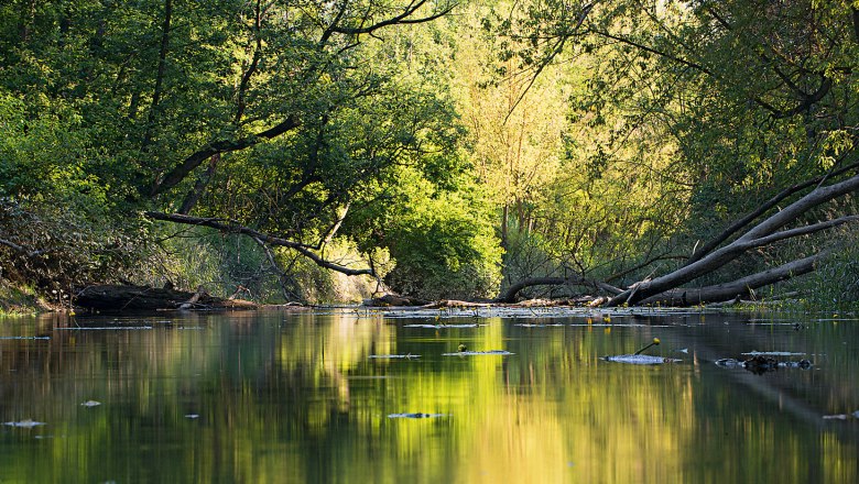 Nationalpark Donau-Auen, © Zsolt Kudich