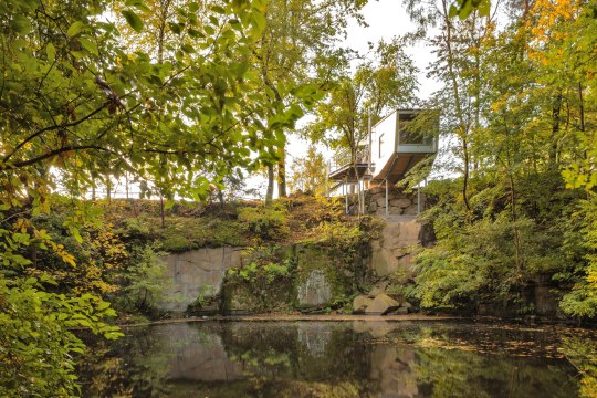 Ein Baumhaus-Lodge inmitten des Grüns und im Vordergrund ein Teich