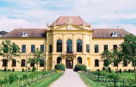 Schloss Eckartsau, © Weinviertel Tourismus GmbH