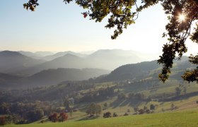 Am Panoramahöhenweg, © weinfranz.at