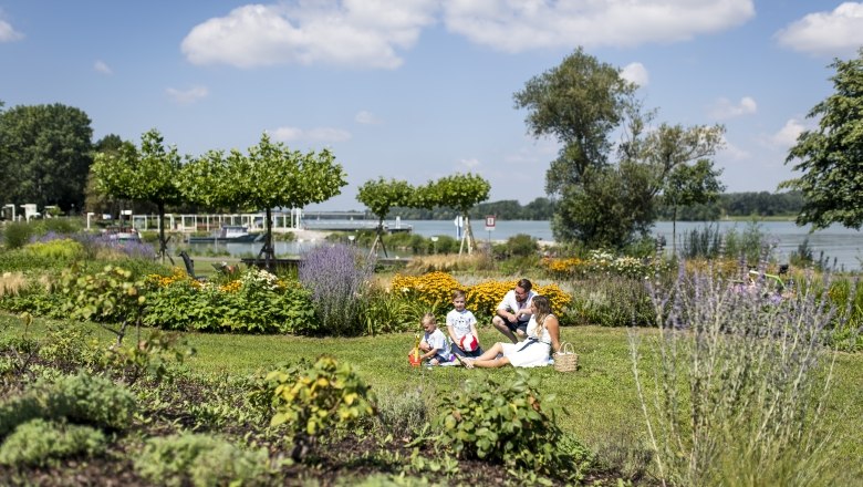 Picknick an der Donaulände, © Stadtgemeinde Tulln/Robert Herbst