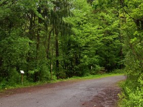 Kirchschlager Bienen- & Pflanzenlehrpfad, © Wiener Alpen in Niederösterreich