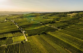 Jettsdorfer Runde, © Donau Niederösterreich - Kamptal-Wagram-Tullner Donauraum