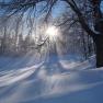 Winterwunderland Zwickelreith, © Familie Roseneder