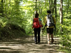 Wanderung zum Kummerbauerstadl, © Wiener Alpen in Niederösterreich - Wechsel