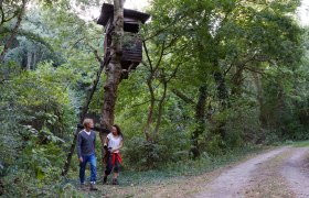 Zwei Personen spazieren im Wald neben einem Hochsitz., © Donau Niederösterreich, Steve Haider