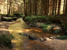 Zwettlfluss bei Klauskapelle, © Braun Gottfried