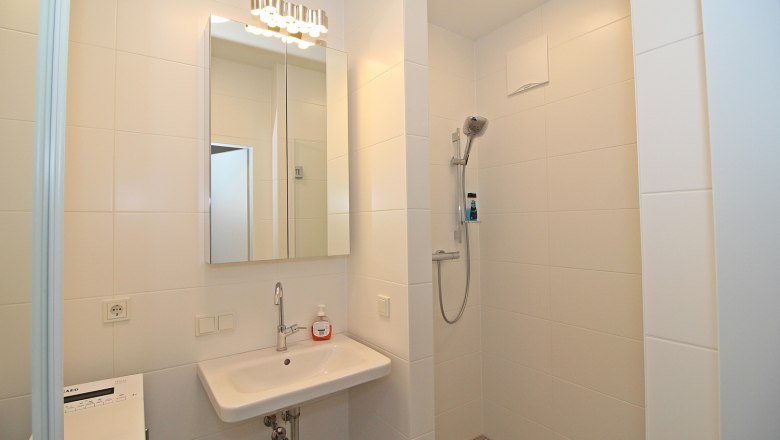 Ferienwohnung Donaublick, Badezimmer, © Interhome