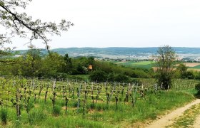 Feldberg bei Roggendorf, © Weinstraße Weinviertel